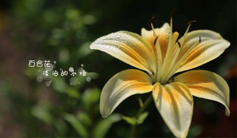 2ecc68b0f4784cb3b13f58897d35017d.jpg